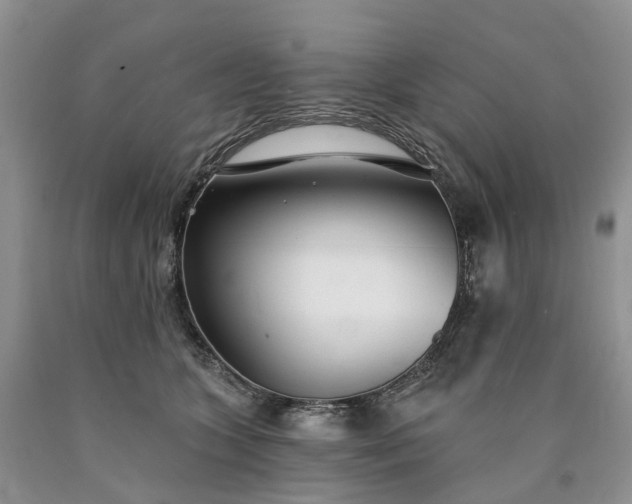X0000090460563200707201336