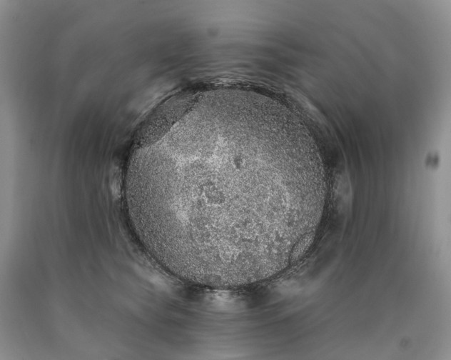 X0000090460565200707201336