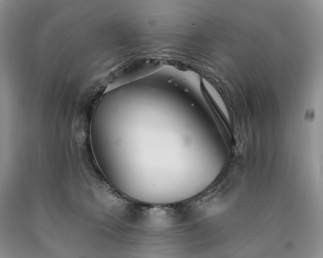 X0000090460566200707201336