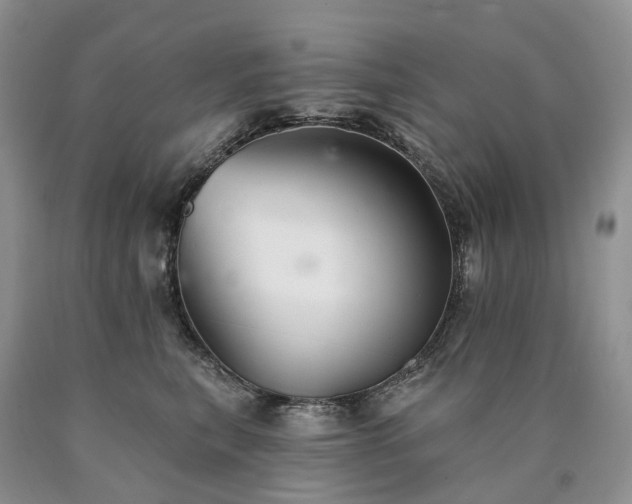 X0000090460567200707201336