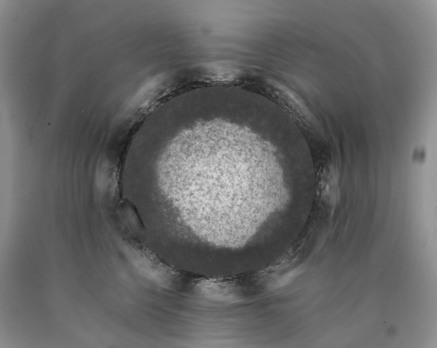 X0000090460568200707201336