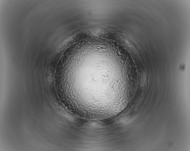 X0000090460569200707201336