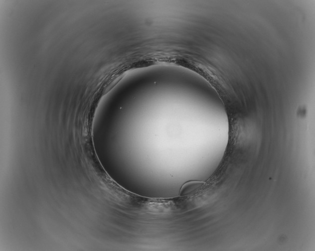 X0000090460571200707201336