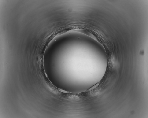 X0000090460572200707201336