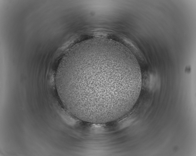 X0000090460573200707201336
