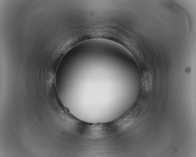 X0000090460574200707201336