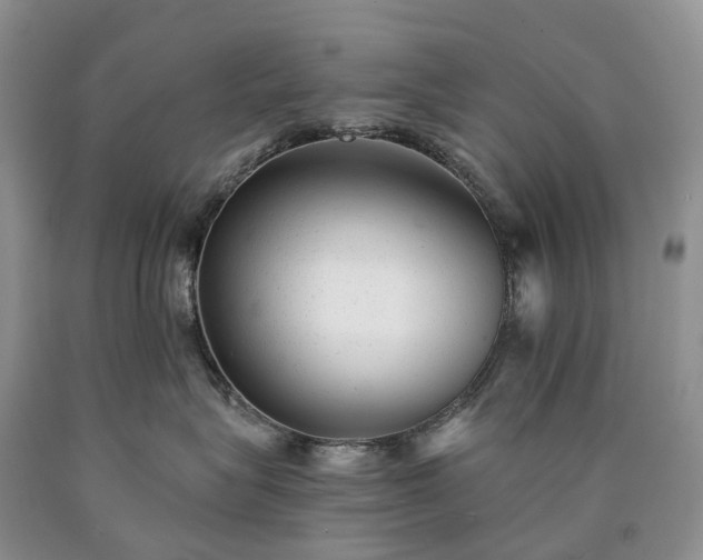 X0000090460575200707201336