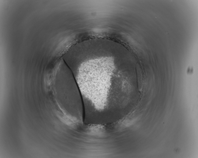 X0000090460576200707201336