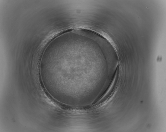 X0000090460577200707201336