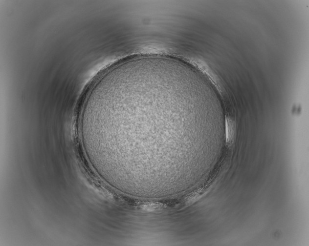 X0000090460579200707201336
