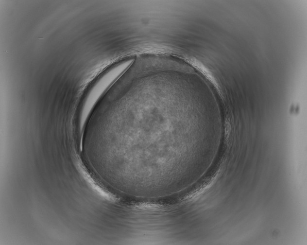 X0000090460581200707201336