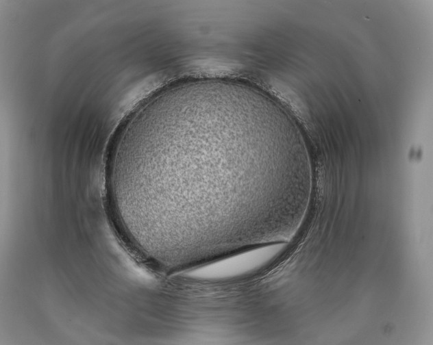 X0000090460582200707201336