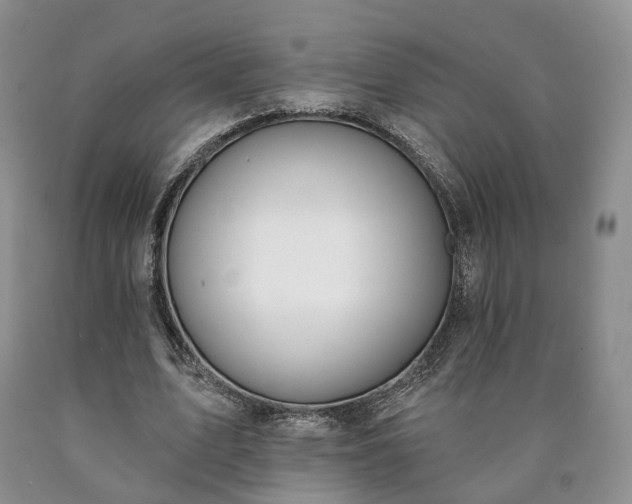 X0000090460583200707201336