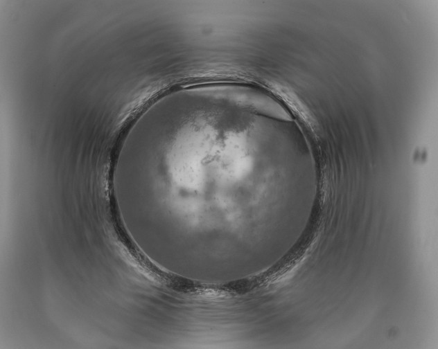 X0000090460585200707201336