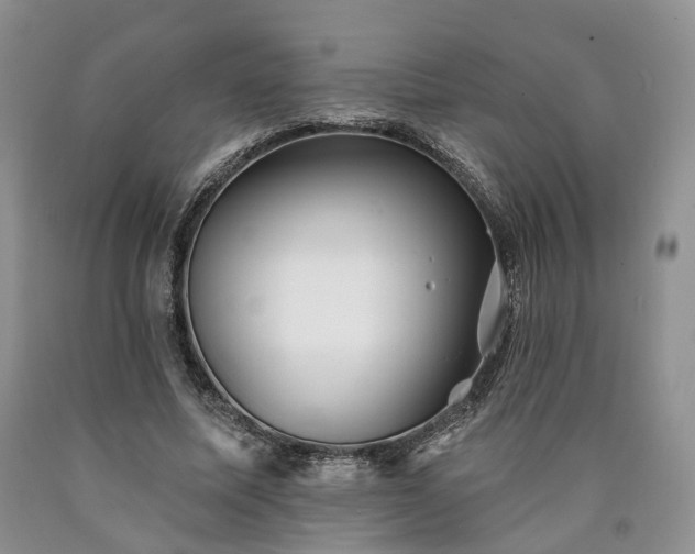 X0000090460587200707201336