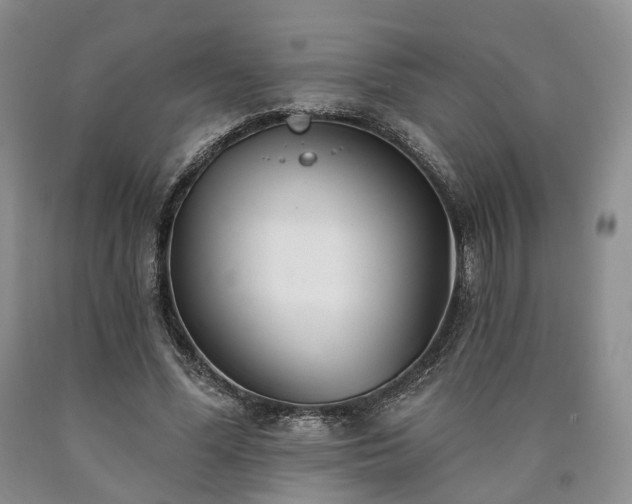 X0000090460588200707201336