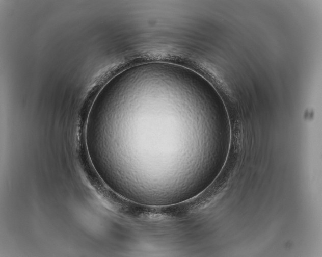 X0000090460590200707201336