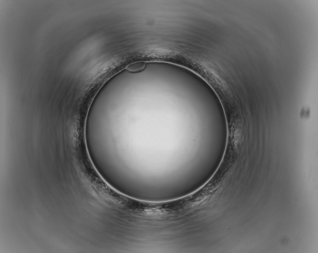 X0000090460591200707201336