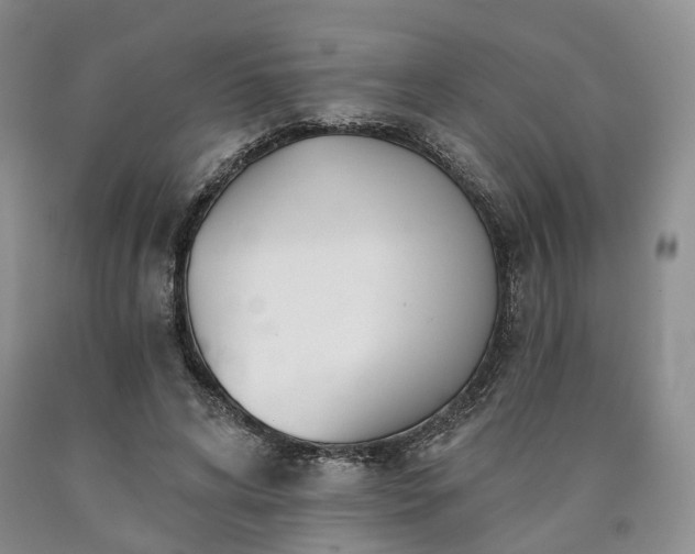 X0000090460592200707201336
