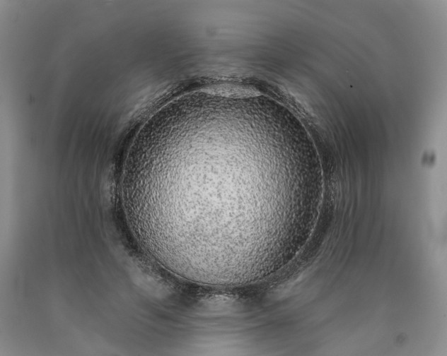 X0000090460594200707201336