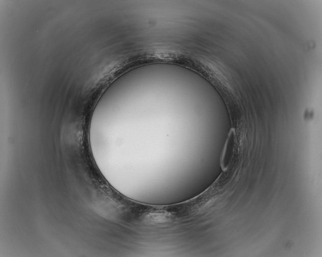 X0000090460595200707201336