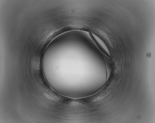 X0000090460596200707201336