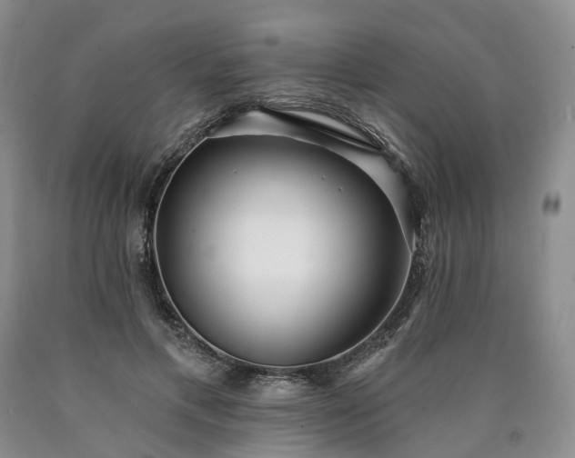 X0000090460597200707201336