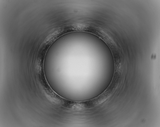 X0000090460599200707201336
