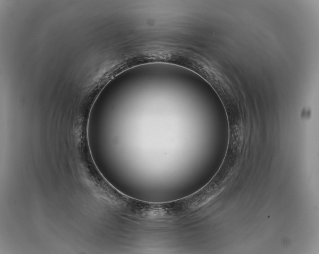 X0000090460600200707201336