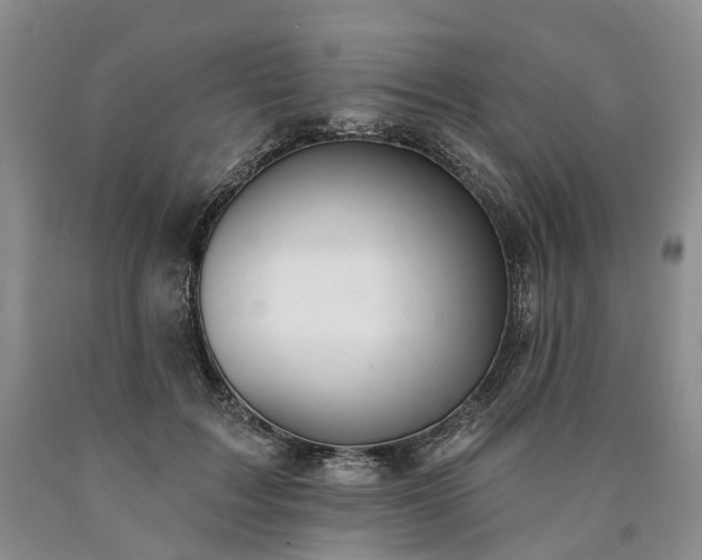 X0000090460603200707201335