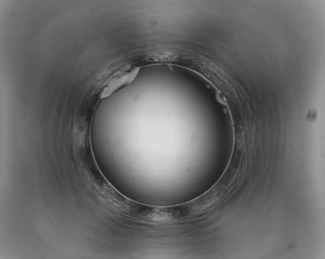 X0000090460604200707201335
