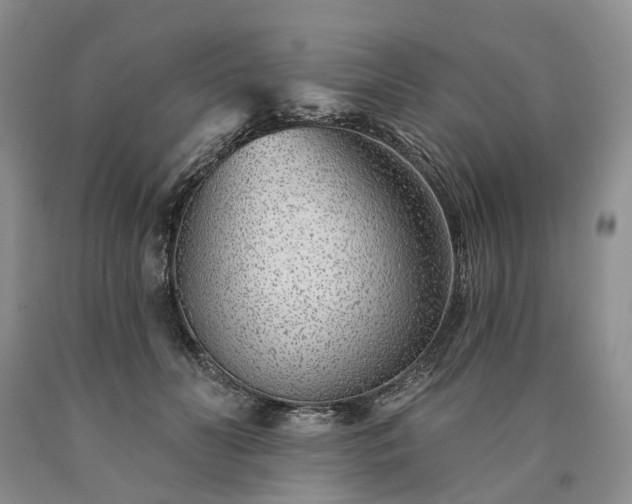 X0000090460606200707201335