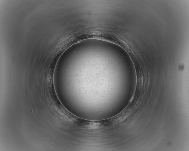 X0000090460609200707201335