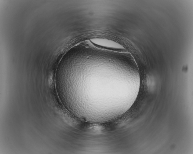 X0000090460610200707201335