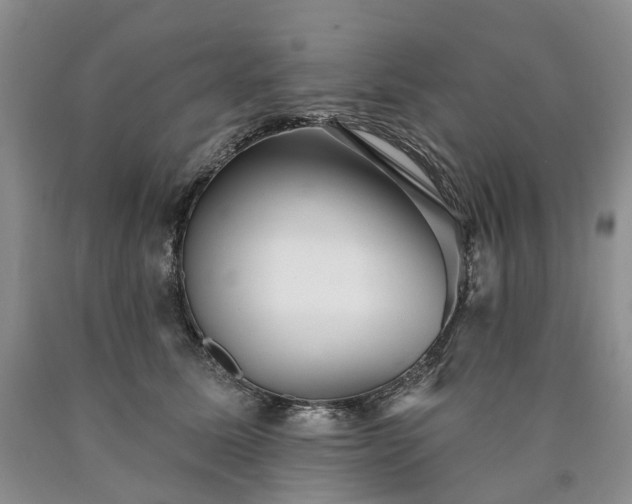 X0000090460611200707201335