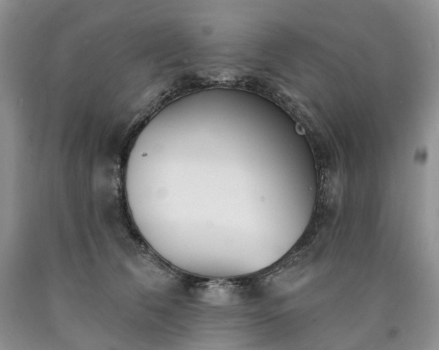 X0000090460612200707201335