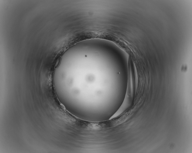 X0000090460613200707201335