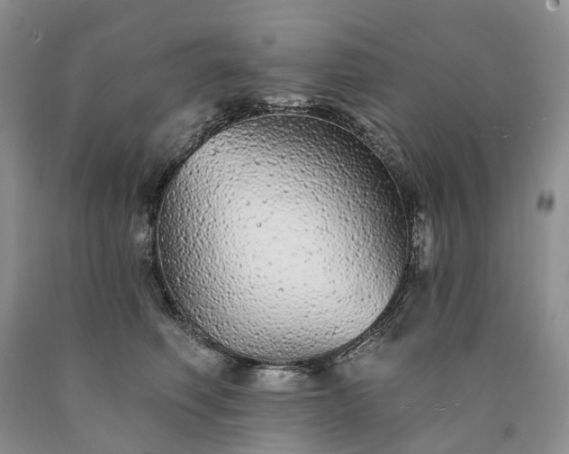 X0000090460614200707201335