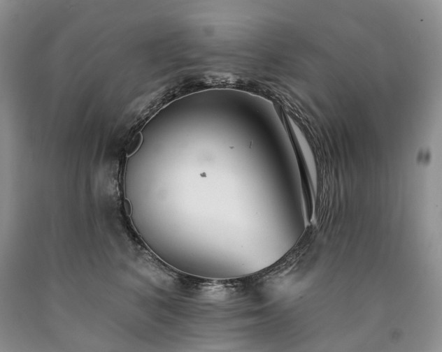 X0000090460616200707201335