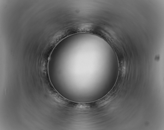 X0000090460619200707201335