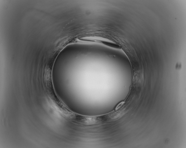 X0000090460623200707201335
