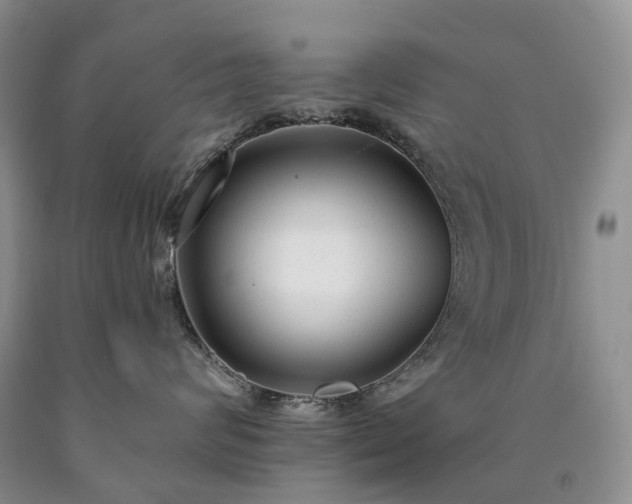 X0000090460624200707201335