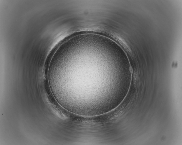 X0000090460628200707201335