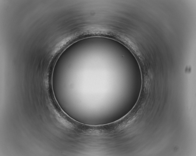 X0000090460629200707201335