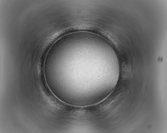 X0000090460631200707201335
