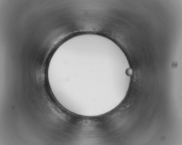 X0000090460632200707201335
