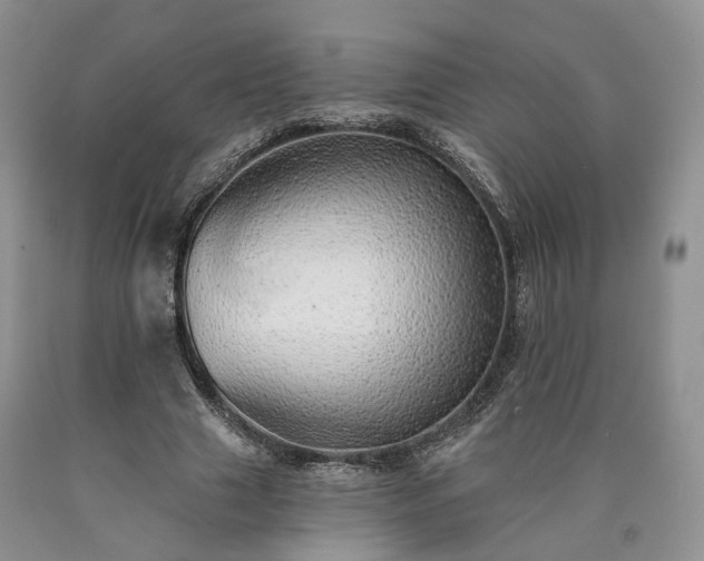X0000090460633200707201335