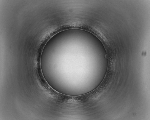 X0000090460635200707201335