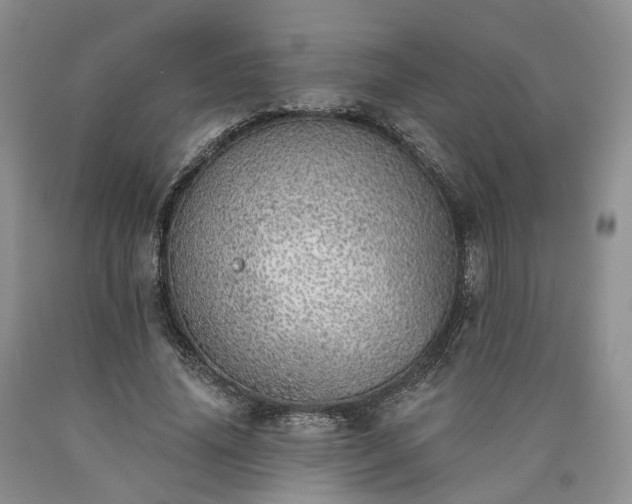 X0000090460636200707201335