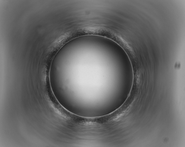 X0000090460637200707201335